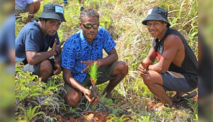 Tribe Signs Up For Tree-Planting Initiative