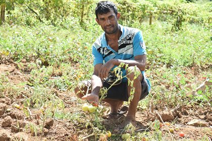 CONTINUED GOVERNMENT AID DELIGHTS FARMING FAMILY