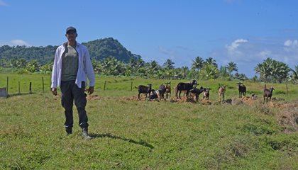 Farmer Champions Food Security, Healthy Lifestyle