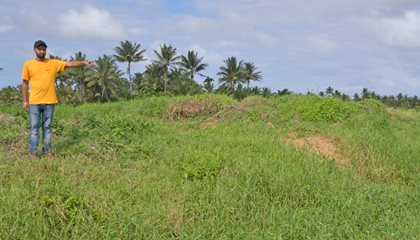 Ministry Moves To Revitalise Rice Industry