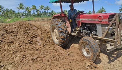 Retired Teacher Earns Livelihood By Farming