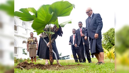 Fiji Government NZ PM Plants Fan at