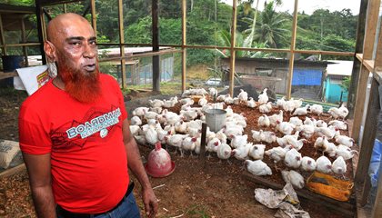 Arif Takes Farming In His Own Strides