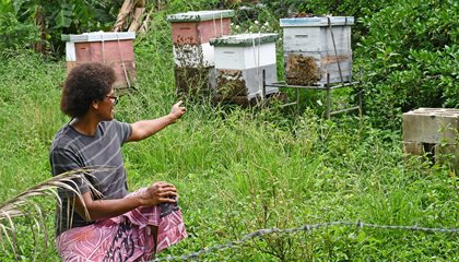 Sweet Success in Beekeeping