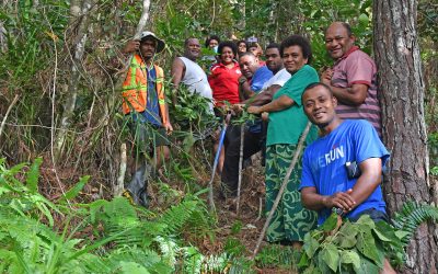 Residents Plant Trees For Future Generations