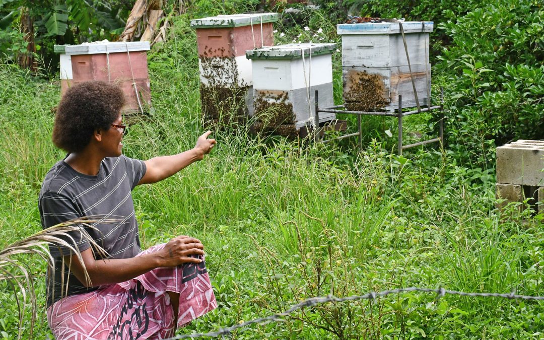 Sweet Success in Beekeeping
