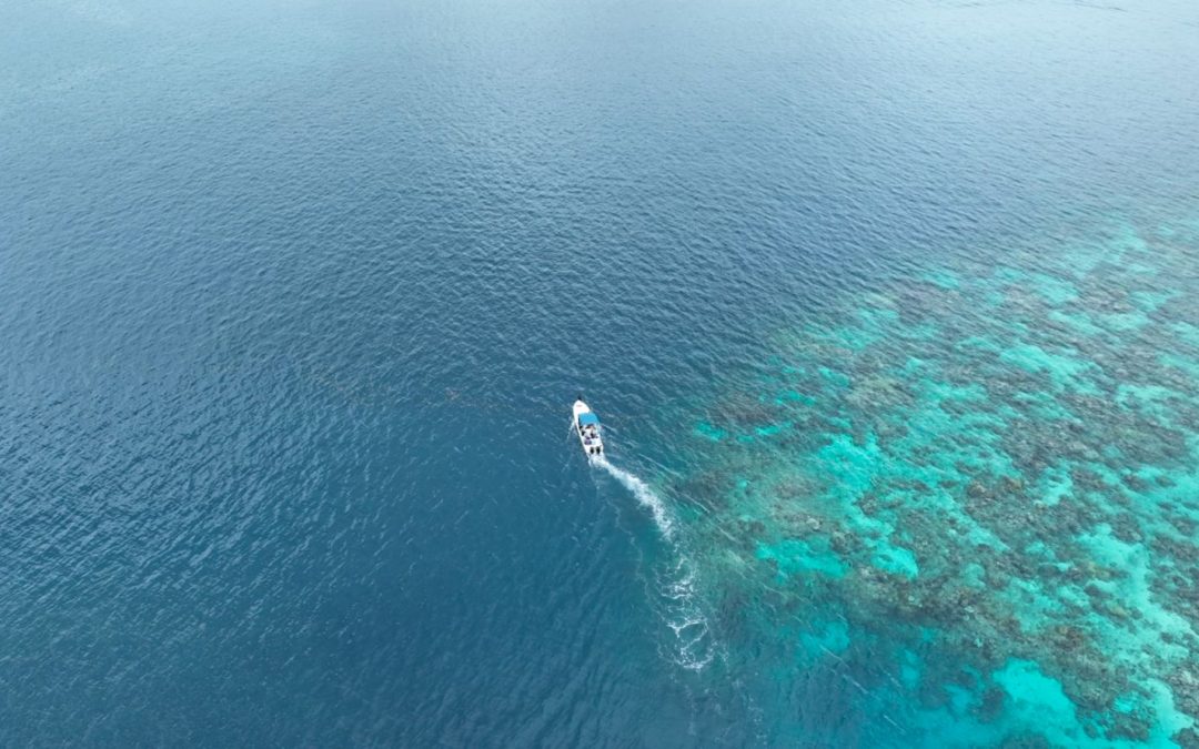 MOALA SETS ITS SIGHTS ON GAME FISHING AS TOURISM OPPORTUNITY