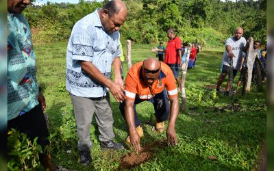 30 Million Trees In 15 Years