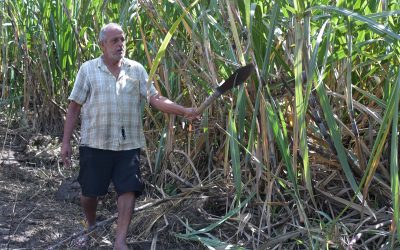 Small Scale Farmers Hail 2022/2023 Budget