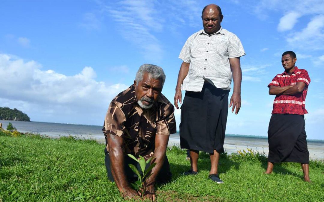 Tree Replanting Helps Village From Climate Change