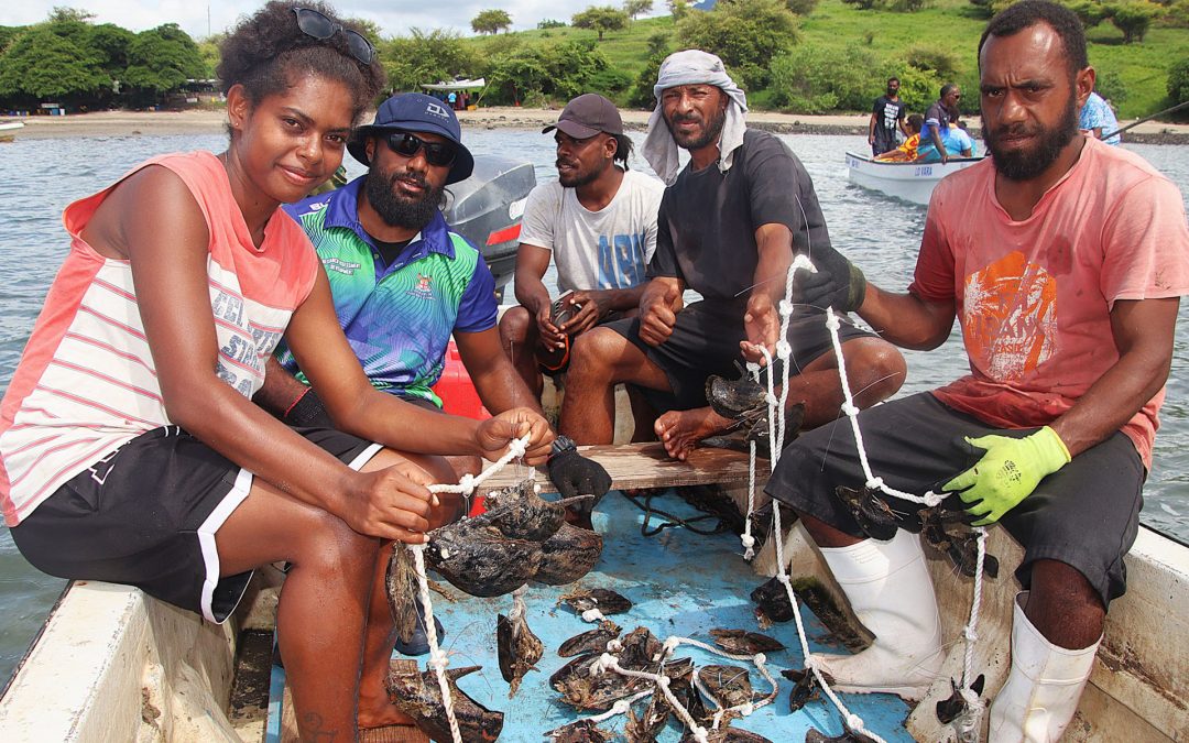 FROM SEA TO SUCCESS: TOGOVERE YOUTH TURN PEARL FARMING INTO OPPORTUNITY