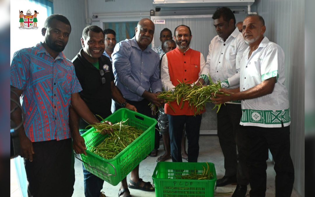 FIJI FARMERS EXPORT COWPEAS WITHIN A YEAR OF SEED HANDOVER
