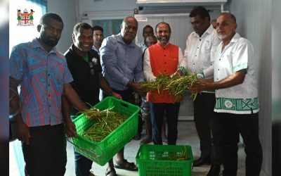 FIJI FARMERS EXPORT COWPEAS WITHIN A YEAR OF SEED HANDOVER