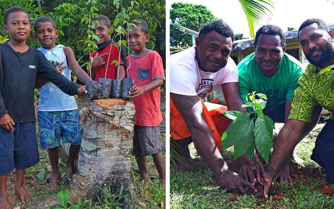 Naiqamu On Mission To Revive Forests Sector