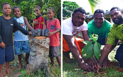 Naiqamu On Mission To Revive Forests Sector