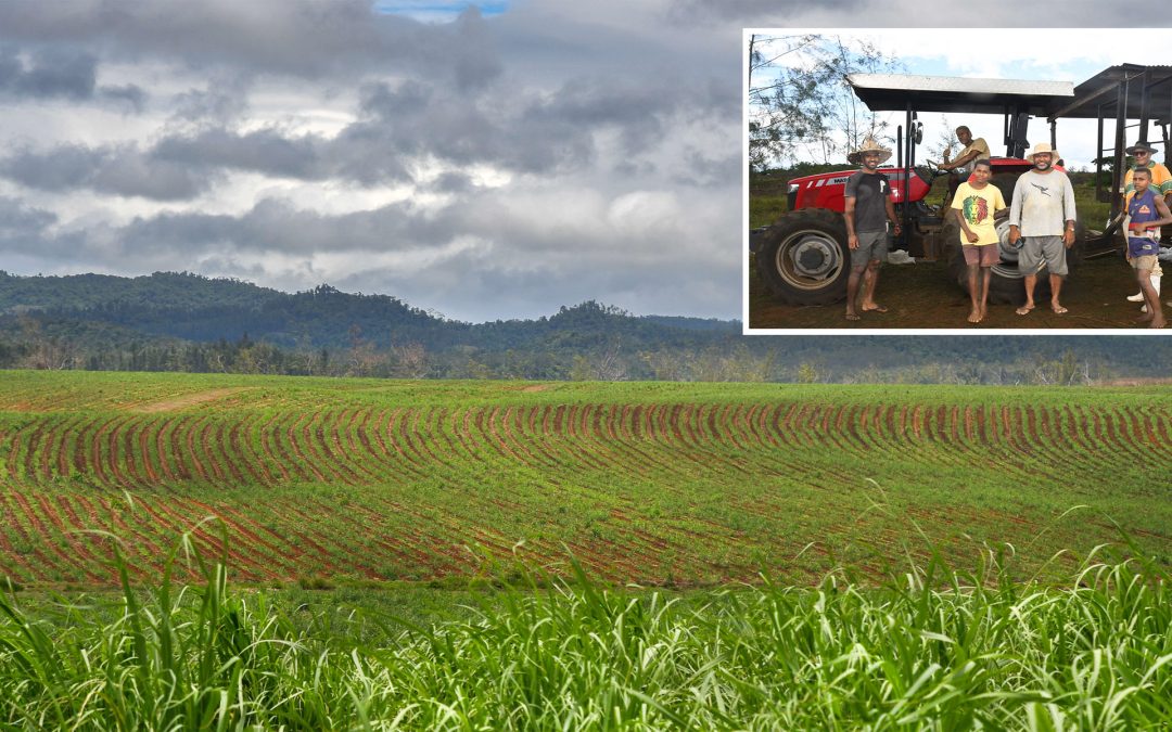 Nukusolevu Cooperative: Farming for a sustainable future