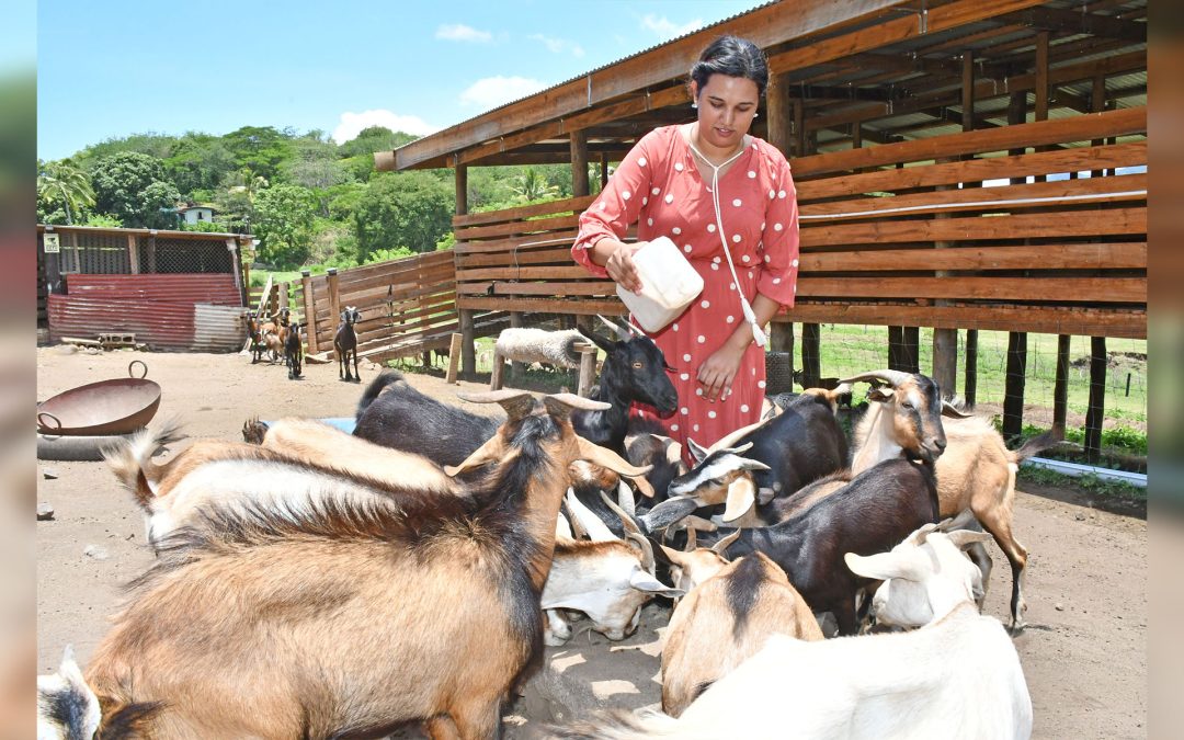 Zabeen Khan’s vision for sustainable goat farming