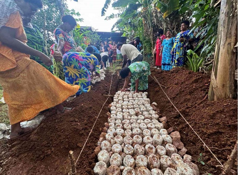 MAKOI WOMEN’S FELLOWSHIP GROUP HARVEST
