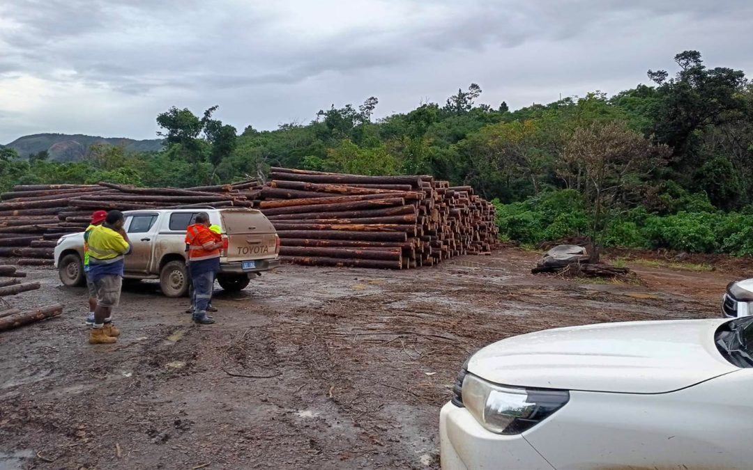 KADAVU JOINT INSPECTION HIGHLIGHTS URGENT ENVIRONMENTAL NEEDS AND SUSTAINABLE LAND MANAGEMENT OPPORTUNITIES