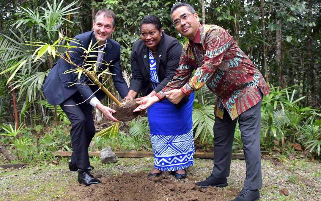 GOVT PLANS TO CREATE BAMBOO PLANTATION: MINISTER BAINIVALU