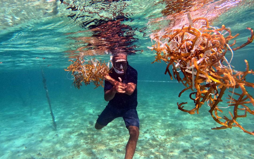 AQUACULTURE ACT 2024 FOR ECONOMIC, ENVIRONMENTAL, AND SOCIAL FUTURE