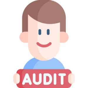 auditor