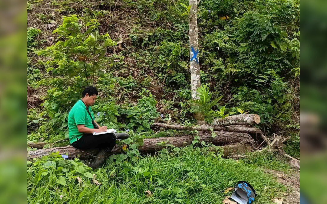 KADAVU FIELD ASSESSMENTS STRENGTHEN FOREST AND COASTAL PROTECTION